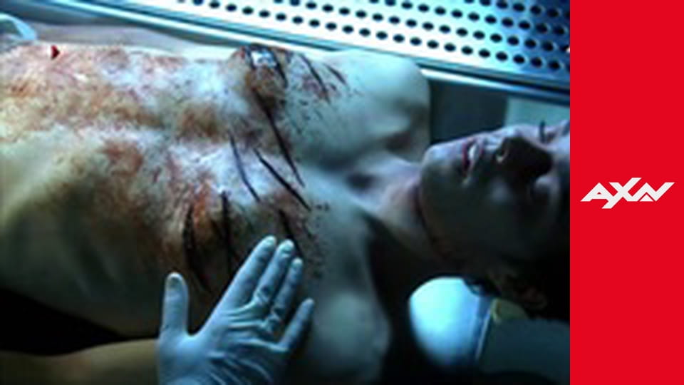 CSI S8E4 - CSI 804 - THE CASE OF THE CROSS-DRESSING CARP