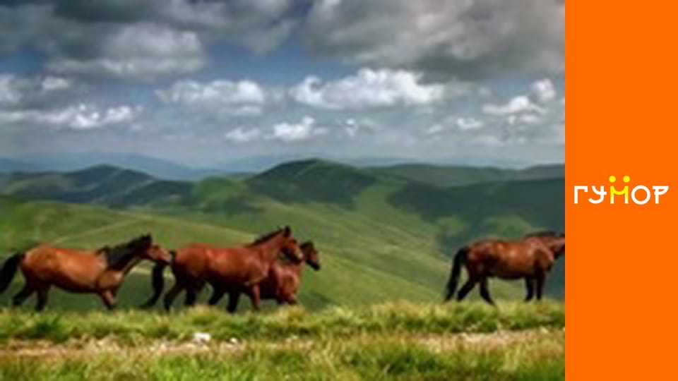 Останній москаль, Сезон 1, Випуск 12