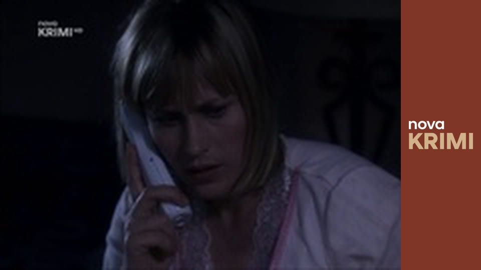 Médium S3E14 - Náš společný sen