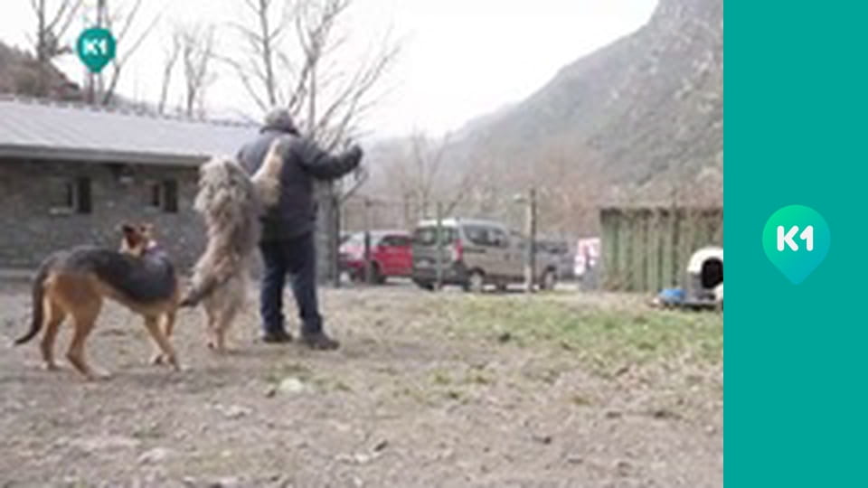 "Інший світ".