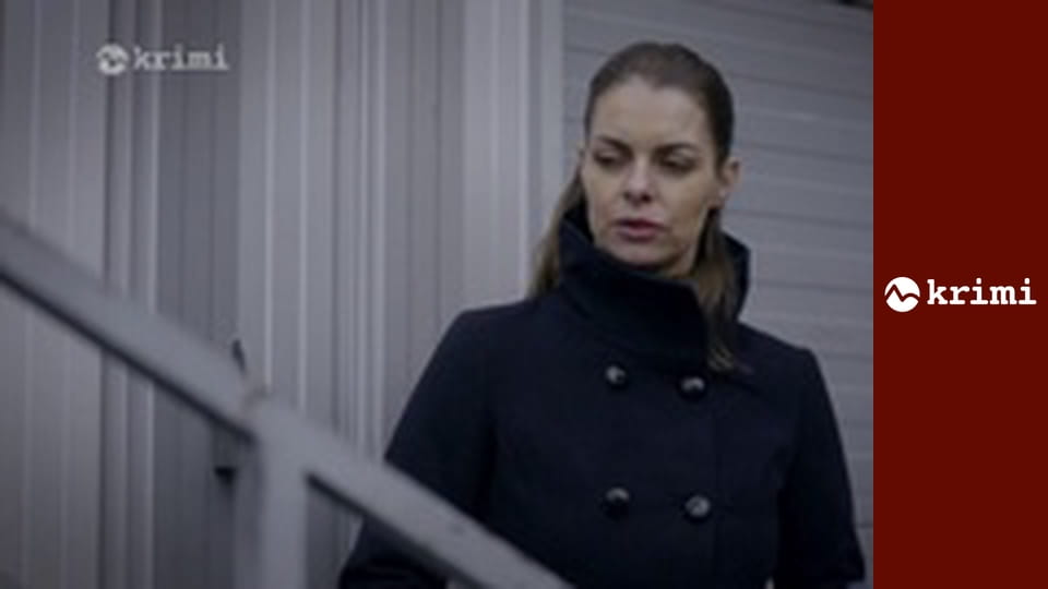 Špecialisti S6E30 - Bodyček