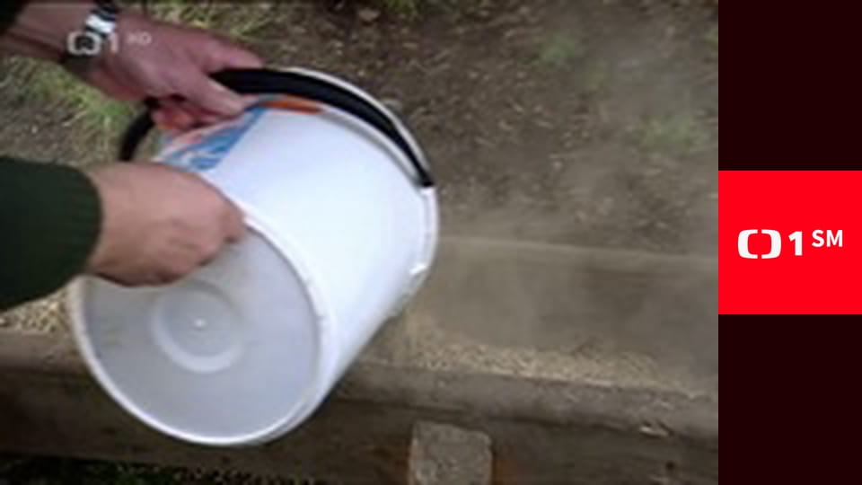 Jak se vede, sousede?