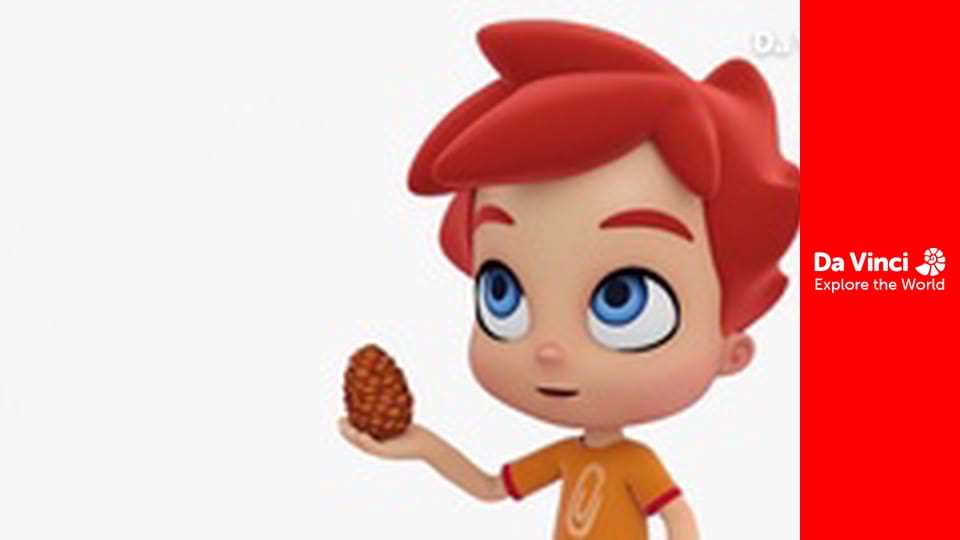 Бріко - Шишка