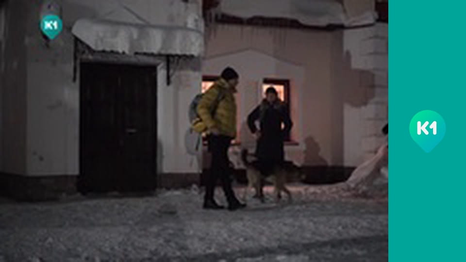 "Пригоди з Яною Метьолкіною".