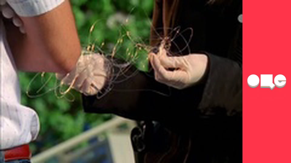 Т/с "CSI: Майами", 7 сезон, 17 с.