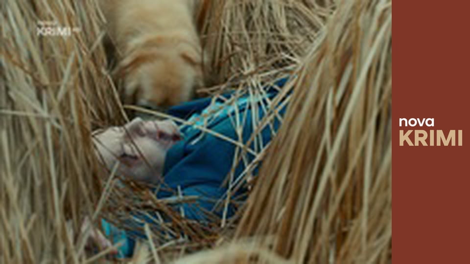 Odznak Vysočina E3 - Spirála