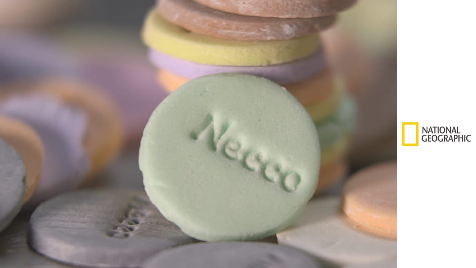 Фабрика еды S1E1 - Конфетки и пироги с мясом