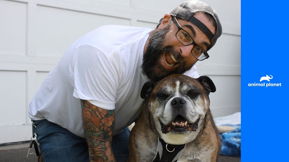 Дома для животных S1E5 - Пещера-люкс