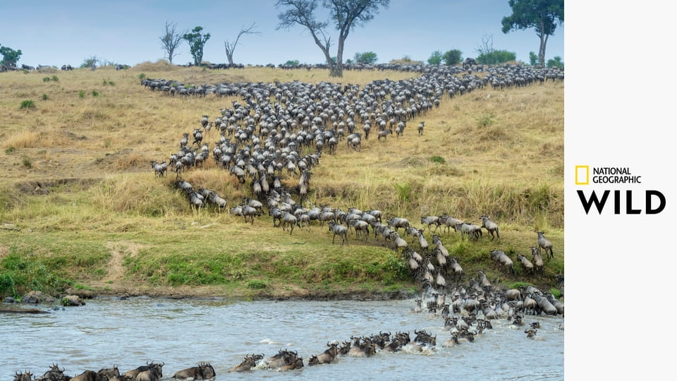 Мара: Возрождение S1E2