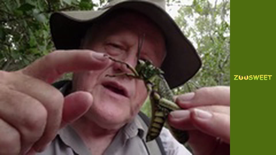 Сіяйа, Сезон 2, Випуск 11