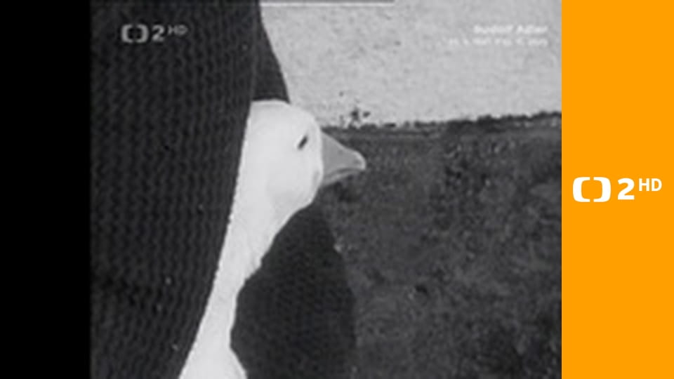 Krásné kouty Ameriky