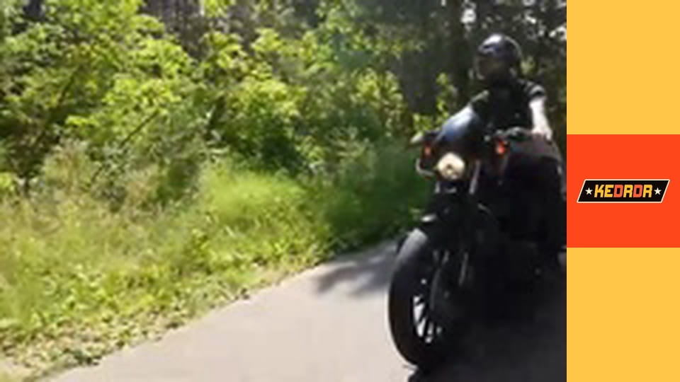 Harley-Davidson 883 Iron