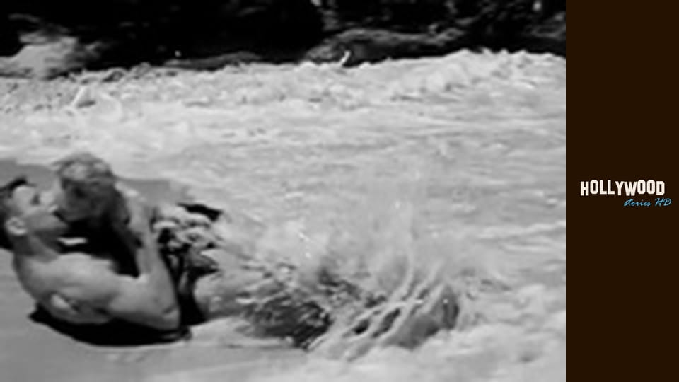 The Directors - Fred Zinnemann