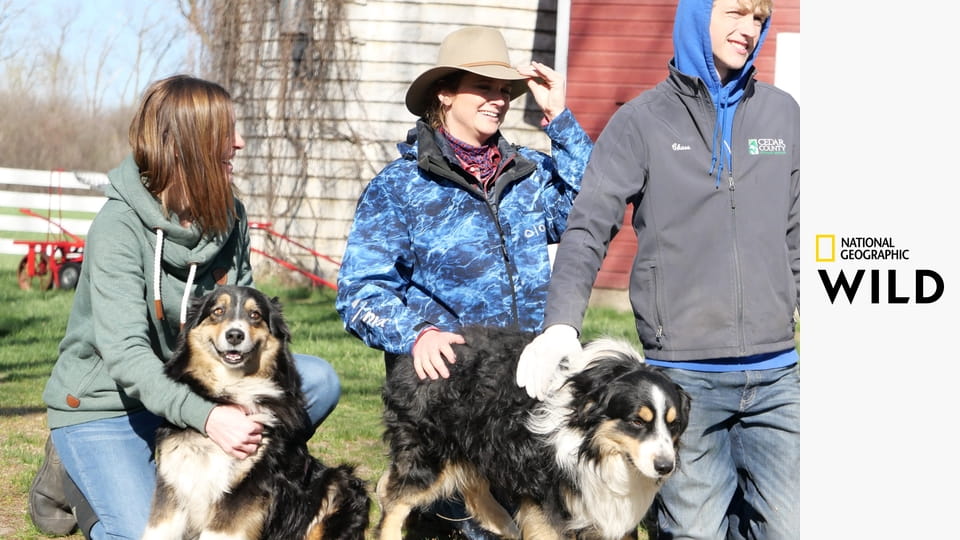 Врачи Хартленда S4E4