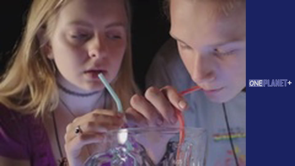 Secrets of the Brain - series 1