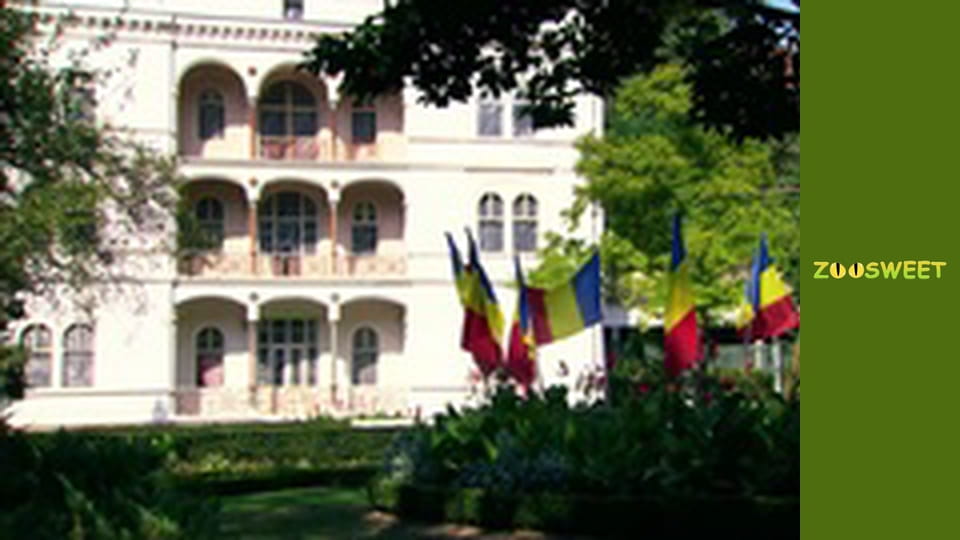 Дикі Карпати, Сезон 1, Випуск 2