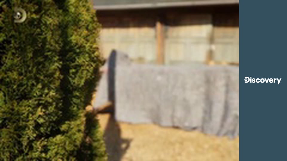 Lovci odpadu: Reštaurátori VI (5)