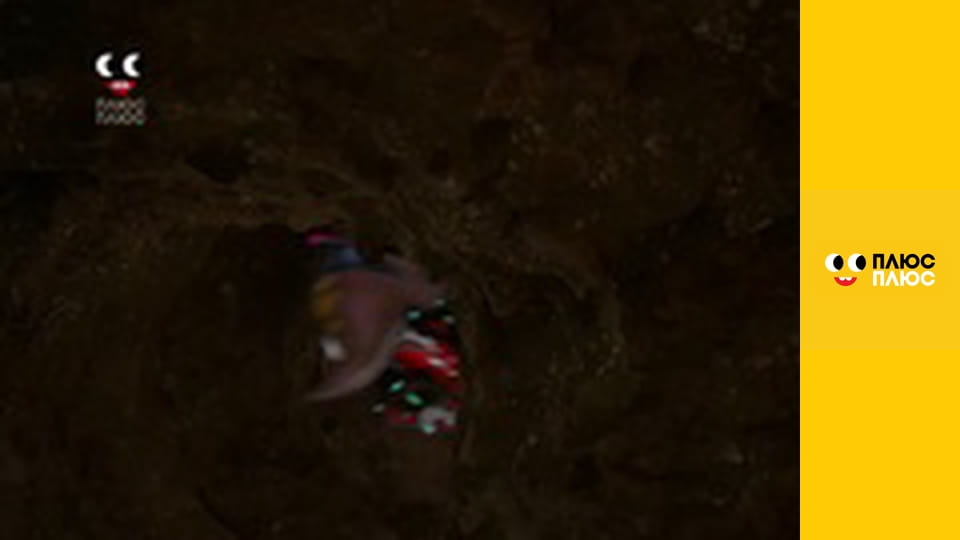 Щенячий патруль