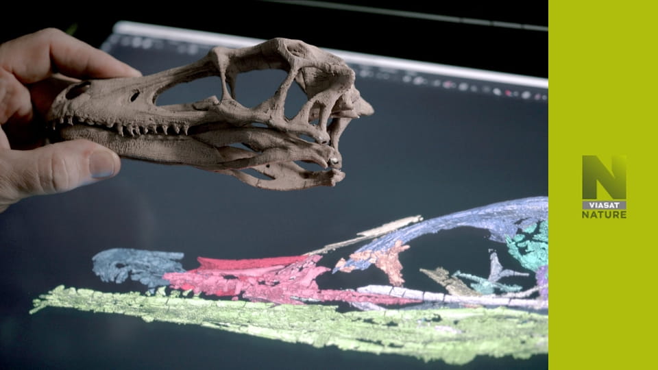 Час гігантів