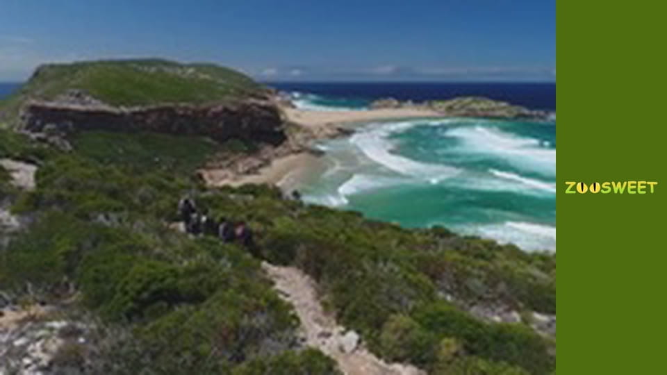 Сіяйа, Сезон 2, Випуск 10