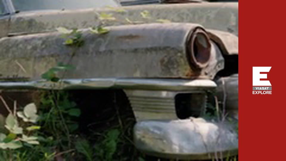 Bush Wreck Rescue - Wreckless