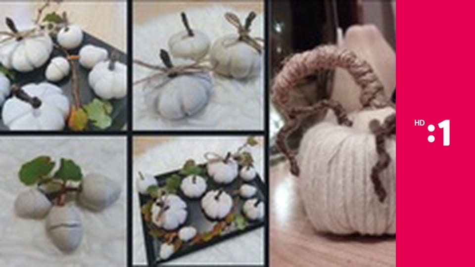 Postav dom, zasaď strom E32