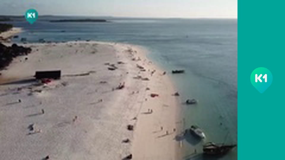 "Приключения с Яной Метёлкиной".