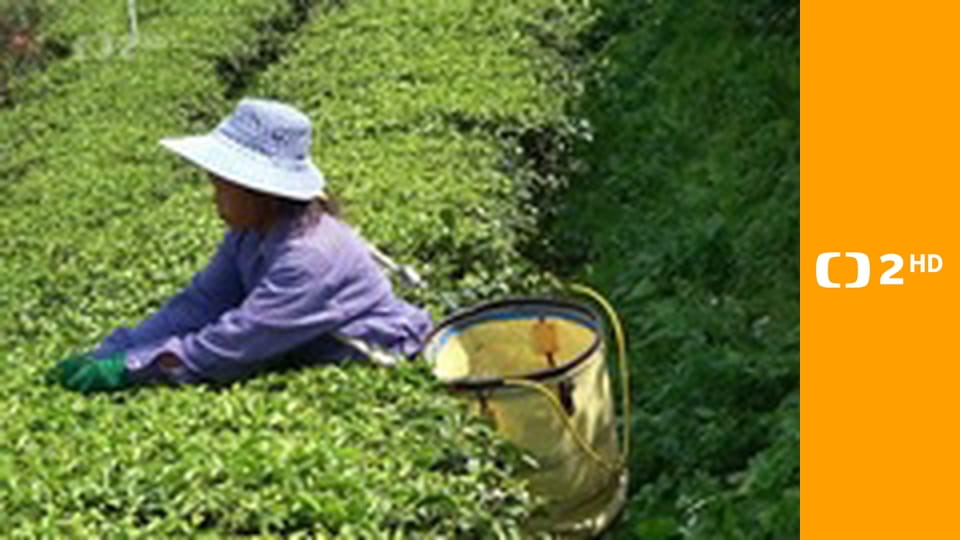 Vůně cizích krajů - Thajsko, od severu k jihu