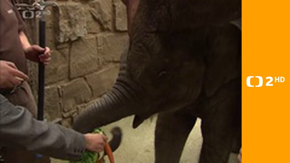 Ztracené adresy - Tamovice