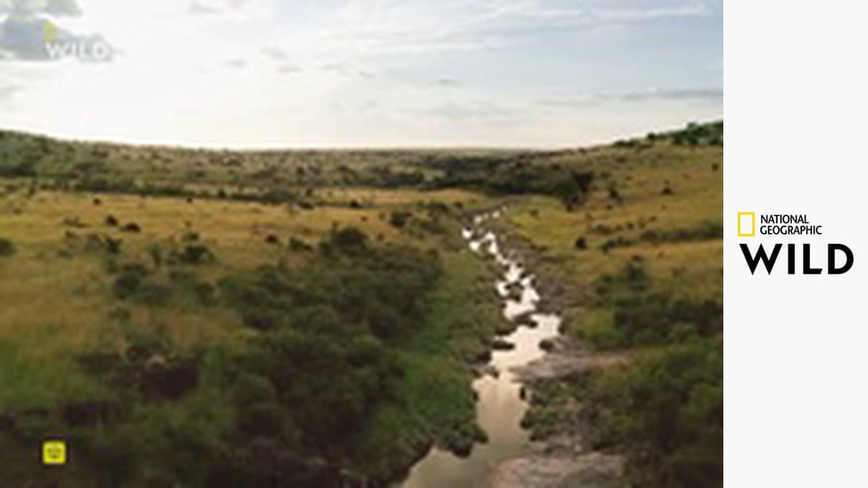 Mara: Znovuzrození S1E1 - Proměna