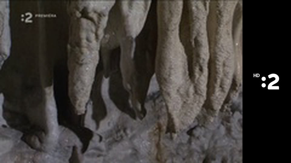 Komu sa nelení, tomu sa zelení E17