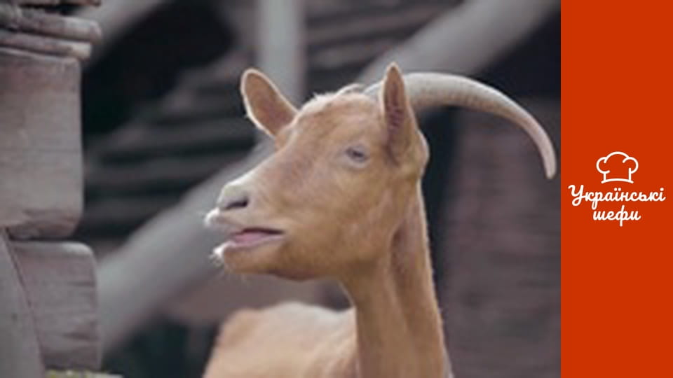 Спадок - Серія 1