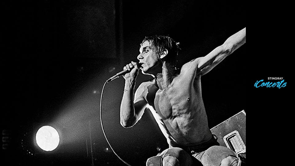 Iggy Pop - Austin City Limits