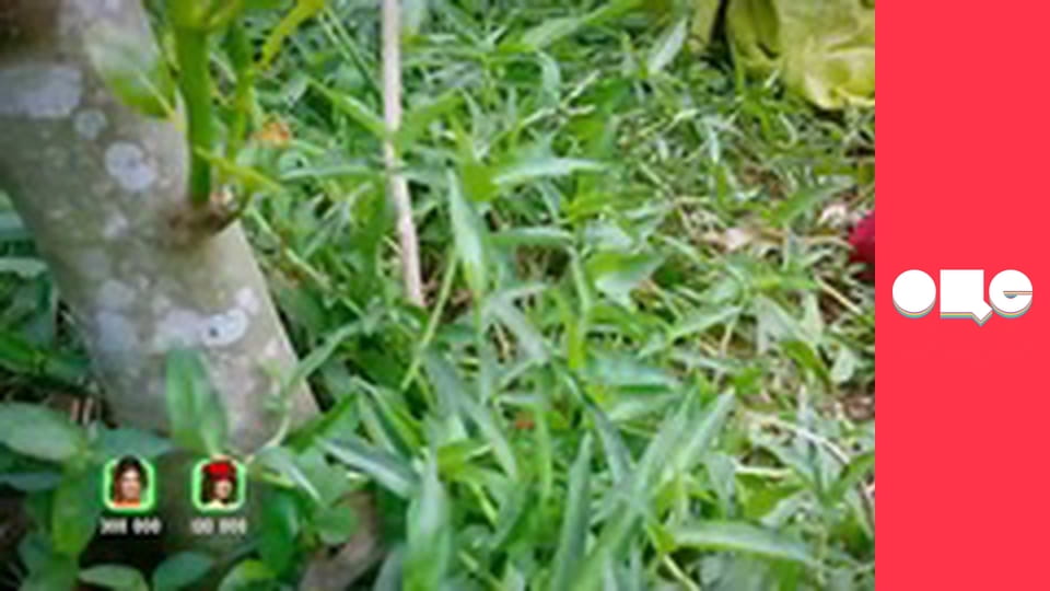 "У кого більше?", 8 еп.