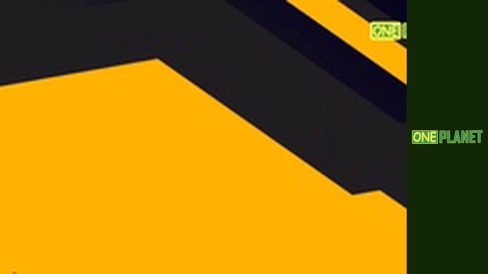 Дивовижне поруч, 8 еп.