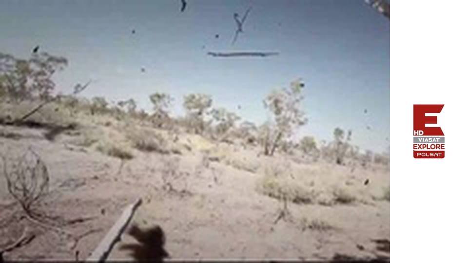 Australijscy łowcy bydła S2E1