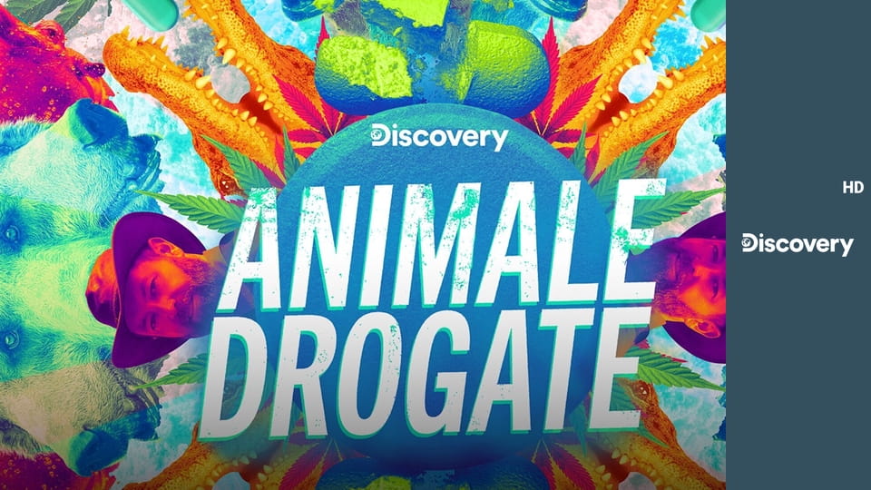 Животные под наркотиками S1E3