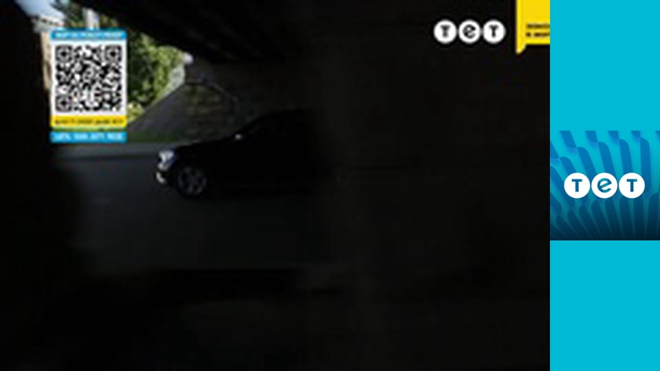 Панянка-селянка E119 - Лела (Третяченко Ольга) / Настя Олей