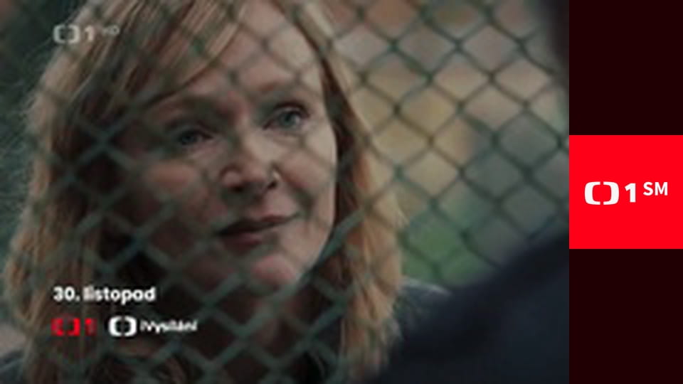 Případy detektiva Murdocha - Žena mých snů