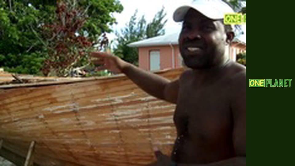 Дальние берега, 2 сезон, 11 эп.