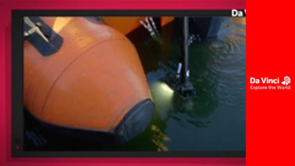 Do You Know? - Toilet Flush & Toilet Factory