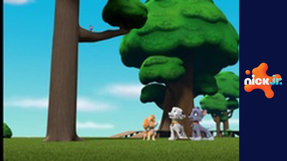 Tlapková patrola S8E23 - Tlapky zachraňují Goodwayovy na vodě / Tlapky zachraňují pojízdnou mazlíčko-myčku.