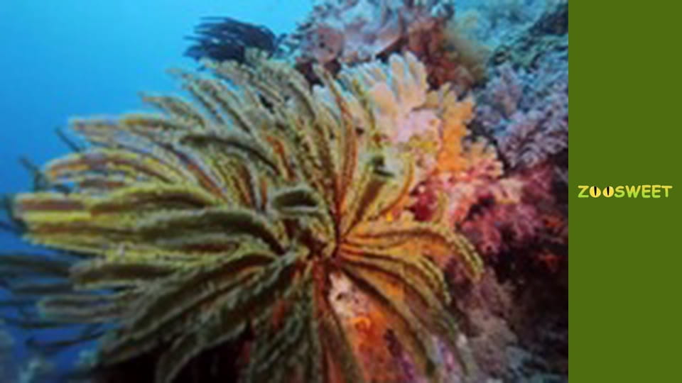 Світ дикої природи - серія 3