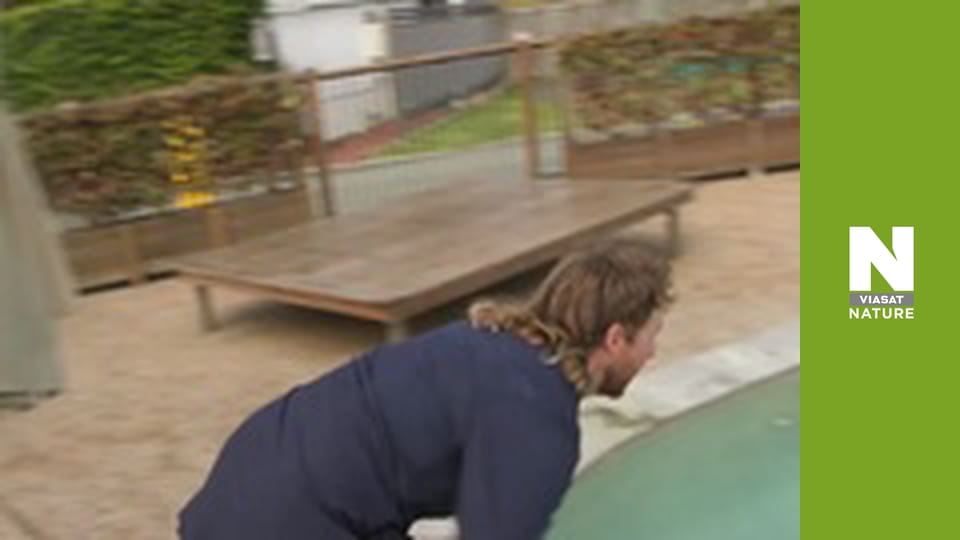 Aussie Snake Wranglers - Hide and Seek