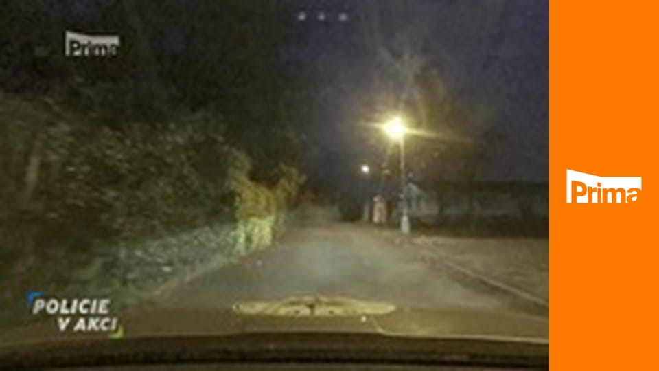 Policie v akci - Nemocný s vidlemi / Nahý muž / Drzý synáček