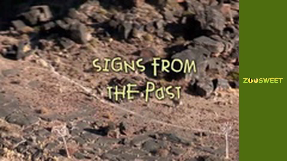 Siaya, Season 1, Episode 24