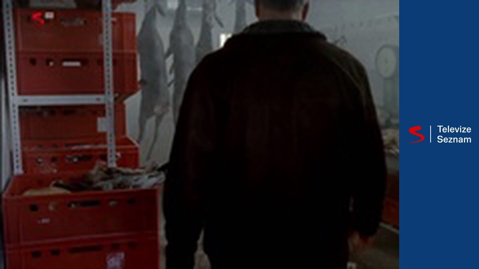 Místo činu: Kolín E7 - Rodinná pouta