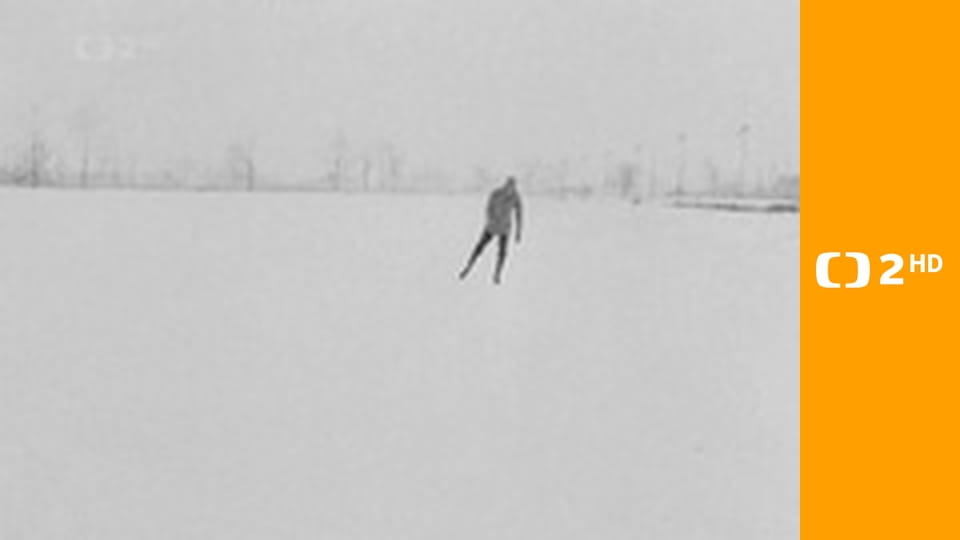 Henry Ford: Architekt amerického století