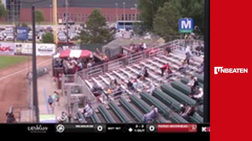 American Association of Professional Baseball