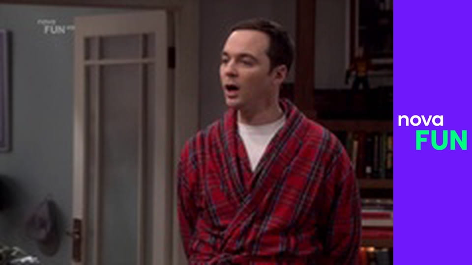 Teorie velkého třesku S11E3 - Starosti s termínem svatby